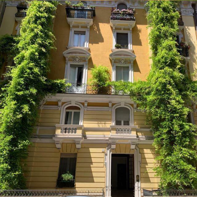 Clementi Portrait Roma